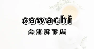 カワチ薬品会津坂下店